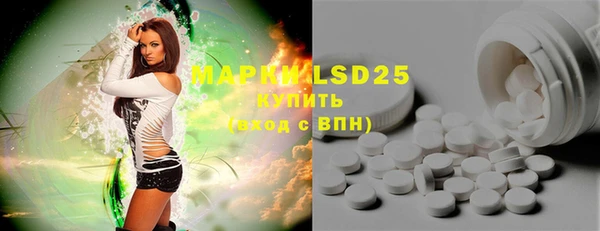 прущие крисы Горняк