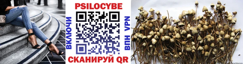 где купить наркоту  hydra вход  Псилоцибиновые грибы мицелий  Абаза 